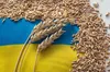Україна розпочинає процес подання позову до суду проти Угорщини, Польщі та Словаччини через зерно