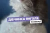 У Києві триває фестиваль адопції тварин AdoptMe Days — понад 500 котів і собак шукають дім
