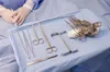 У Львові американські хірурги будуть безкоштовно оперувати дітей із вадами обличчя: деталі