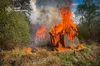 У Шептицькому районі надзвичайними врятували від вогню понад 10 будинків