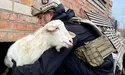Приїхали у прифронтове місто рятувати звірят