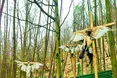 У «Межигір’ї» люди кидали монети у став, щоб повернутися...