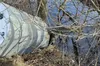 На Львівщині за 400 метрів від житлових будинків впала ракета