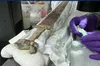 У Британії знайшли давній англосаксонський меч