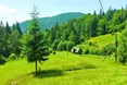 «Літніх грибів немає, бо молодий цвіт України загинув на війні»