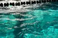 У Львові перевірили якість води в басейнах: порушень не виявлено