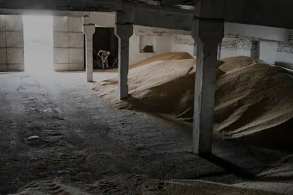 Фото ілюстративне із відкритих джерел