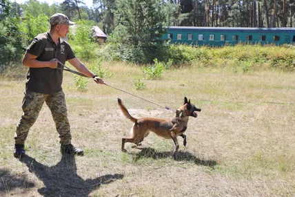 Кінолог із собакою – це надійний тандем