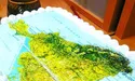 Кремлівсько-чеченське іго