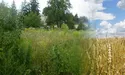 Битва за землю