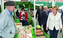 Третій термін для фрау Меркель?