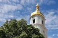 У Софії Київській презентують інсталяцію з квітів