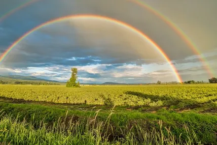 Наприкінці січня на Вінниччині з'явилась веселка