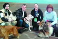 Розтопити теплом зневірені собачі душі
