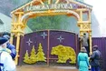 «Ведмежа діброва» здалася без бою...