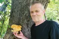 Гриби-кулини одним нагадують варену курку, іншим – смажену рибу