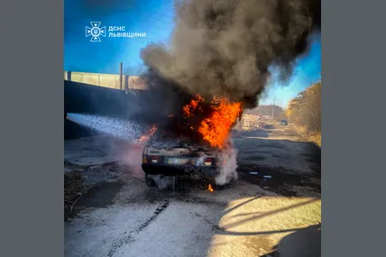 Фото: Головне управління ДСНС України у Львівській області