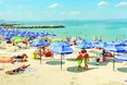 Болгари бояться, щоб українці росіянам пики не набили...
