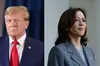 Трамп погодився на дебати із Гарріс