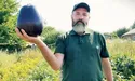 Виростив баклажан вагою майже 2,5 кг