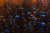 Сонячно та спекотно: прогноз погоди на 26 серпня