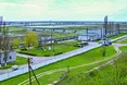 Осетри ростуть повільніше, ніж людський апетит
