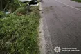 Внаслідок ДТП на Львівщині травмовані дві іноземки