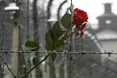 Сьогодні Міжнародний день пам'яті жертв Голокосту