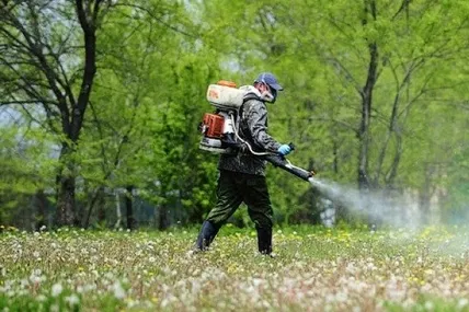 Акарицидна обробку від кліщів. Фото умовне