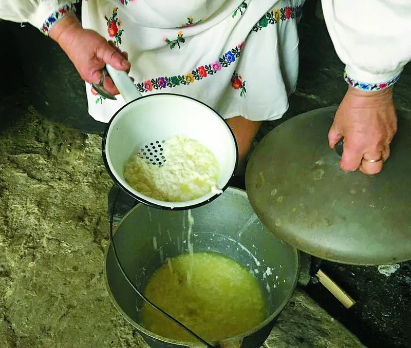 Для приготування бринзи потрібне свіже овече молоко.