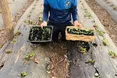 Мельники розпочали весняний сезон