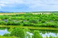 «Не дамо тут зробити другі Грибовичі!»