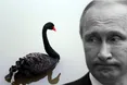 До путіна летять «чорні лебеді»