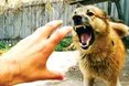Загроза сказу залишається високою