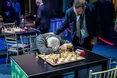 «Бувало, від надмірних емоцій шахістів після поразок в їхньому готелі страждали меблі…»
