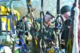 Дешеві буряки, дорогі поросята і пишний хліб