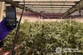На Львівщині викрили масштабну нарколабораторію — вартість вилученого перевищує 8 мільйонів гривень