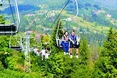 Замість Одеси поїдемо у Карпати