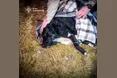 У Львівському районі рятувальники врятували собаку, яка провалилася під кригу