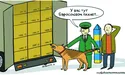 Один бій виграли. Як виграти війну?