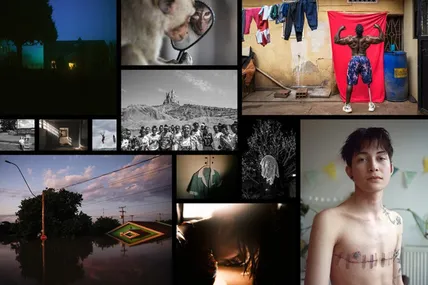 Колаж World Press Photo