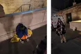 «В Ілони дуже впевнена розмова, а її статус Почесного консула не викликали у мене жодних сумнівів»