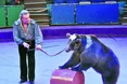 Колискова для ведмежати