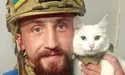 Бойовий кіт з очима кольору українського прапора