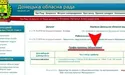 Донецькі «регіонали» приймають «ізбіраєтелей»