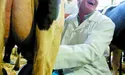 «Пожиттєвка» для Литвина