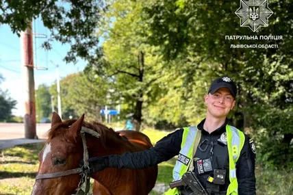Кінь. Фото: Патрульна поліція Львівської області