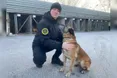 «Під час обшуку Ірма виявила таємну кімнату… За шафою була нарколабораторія»