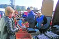 Баклажани – по 2 гривні, але вчора. А нині – по 5