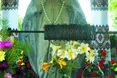 Її нищили, топтали, а вона вистояла...